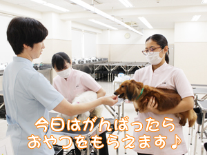 検査実習と身体検査！